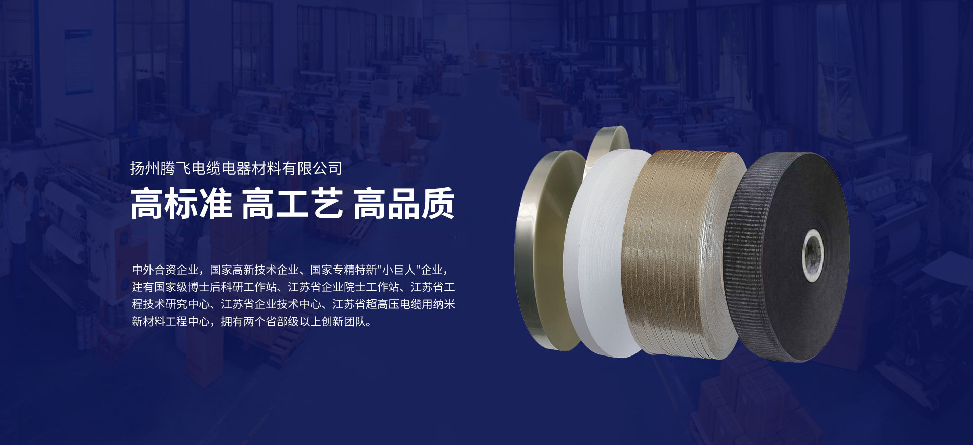 揚州騰飛電纜電器材料有限公司